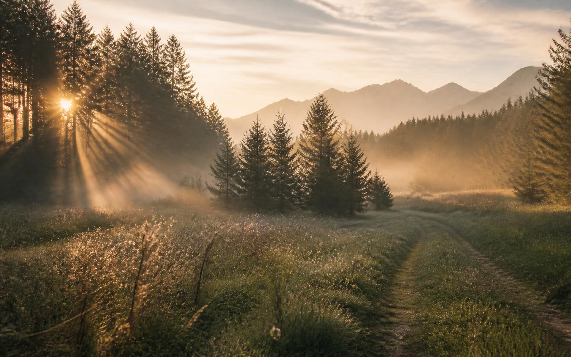 Surrounding nature